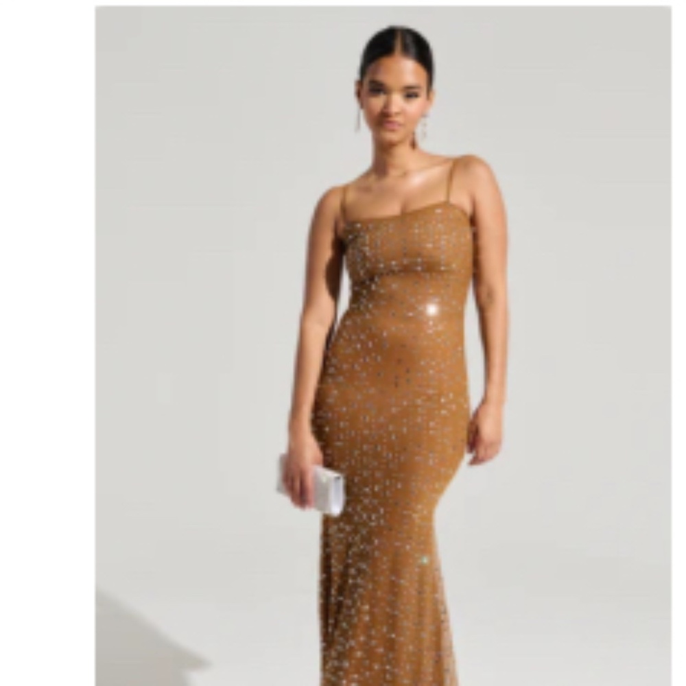 AKIRA ANASTASIA MESH RHINESTONE MAXI DRESS Size MM